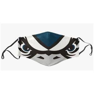 3 Pack Philadelphia Eagles Eyes Face Masks (Order of 3)